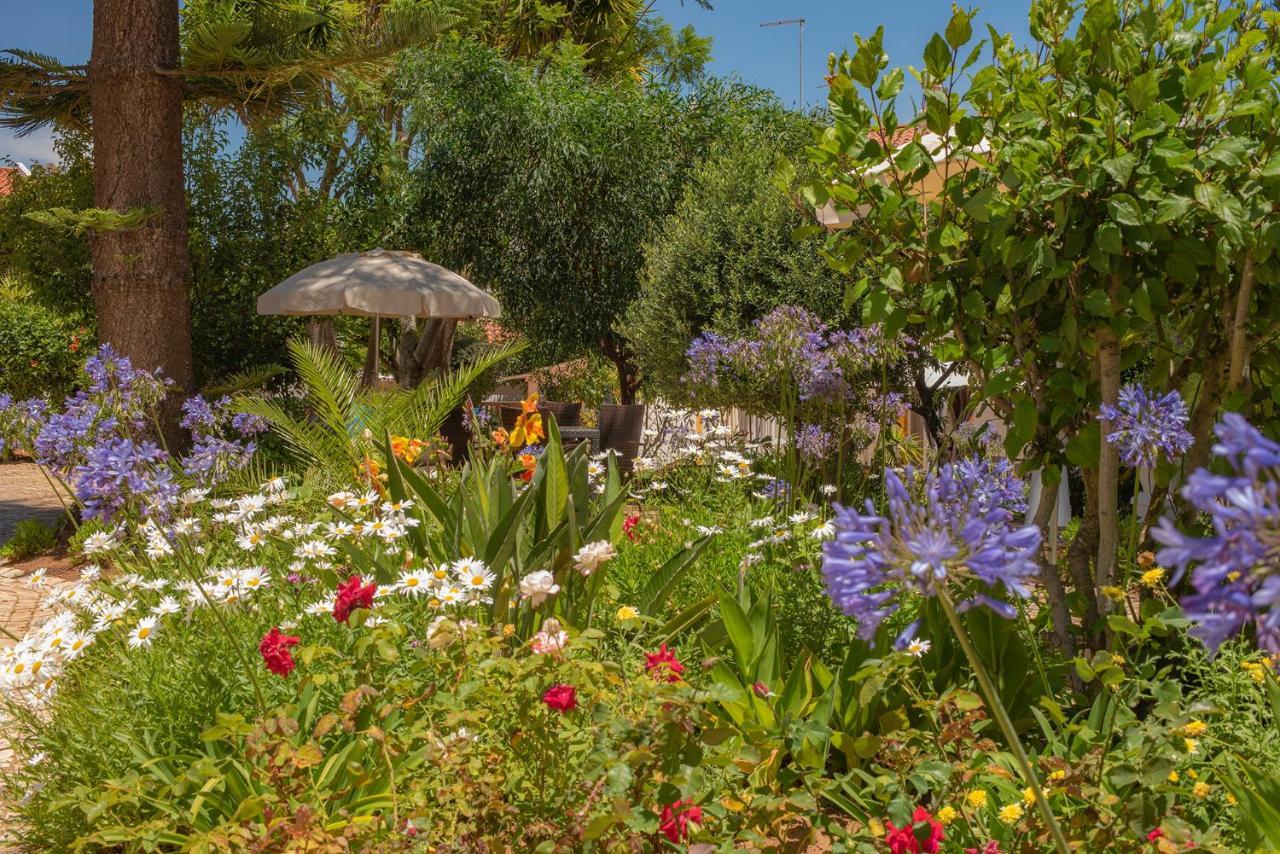 Appartamento Quinta Paraiso Da Mia Two Bedroom *